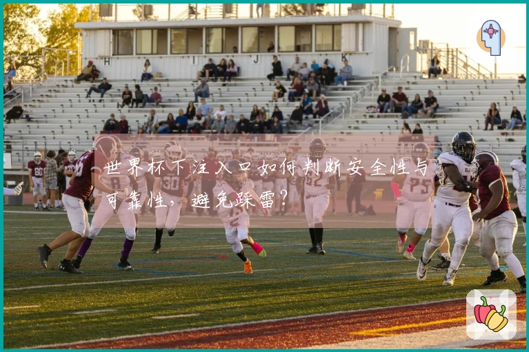 世界杯下注入口如何判断安全性与可靠性，避免踩雷？
